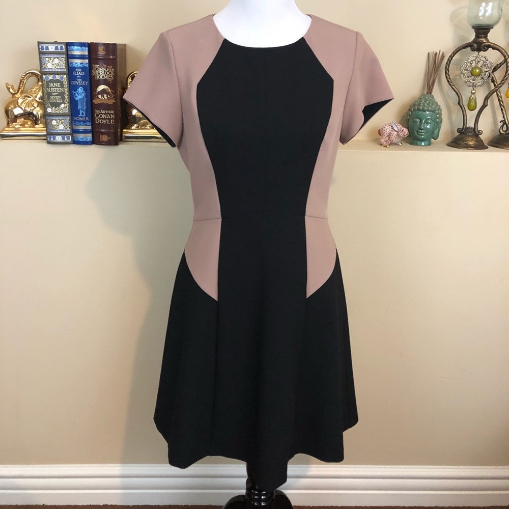 ‼️MAJOR Price Drop‼️Rebecca Taylor Dress Sz 10